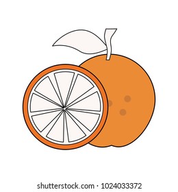 Orange citric fruit
