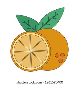orange citric fruit