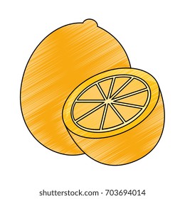 Orange citric fruit