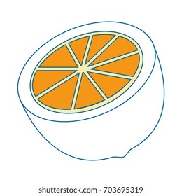 Orange citric fruit