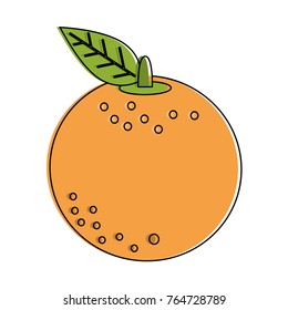 Orange citric fruit