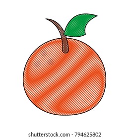 Orange citric fruit
