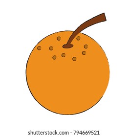 Orange citric fruit