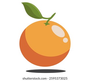 Orange citric organic fruit hand drawn flat illustration  