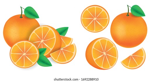 Orange citrus elements set, half, slice, leaf, isolated objects, realistic vector, white background