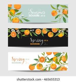 Orange Citrus Floral Banners and Tags Set - in vector