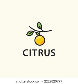 Orange citrus fruit branch simple logo icon sign symbol vector template