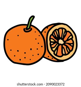 Orange citrus fruit in doodle style. Isolated vector.