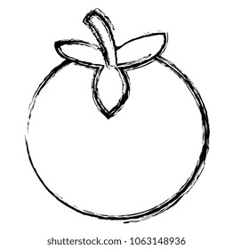 orange citrus fruit icon