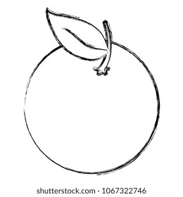 orange citrus fruit icon