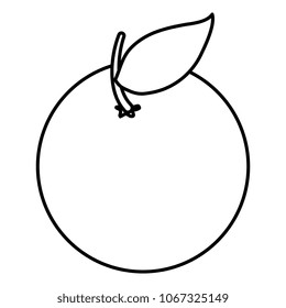 orange citrus fruit icon