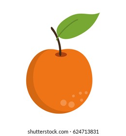 orange citrus fruit icon