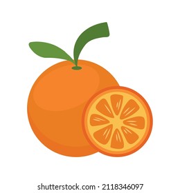 orange citrus fruit icon flat