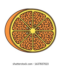 orange citrus fruit isolated icon vector illustration design