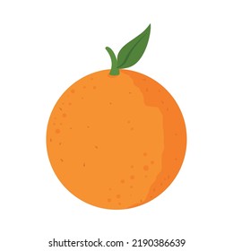 orange citrus fruit isolated icon