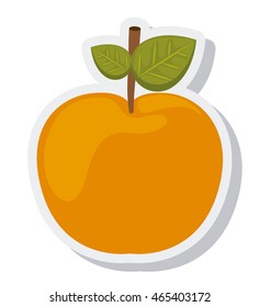 orange citrus fruit isolated icon vector illustration design