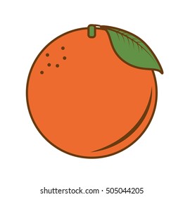 orange citrus fruit isolated icon vector illustration design