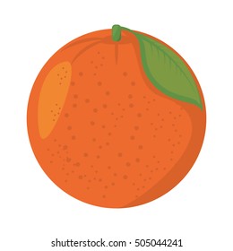 orange citrus fruit isolated icon vector illustration design