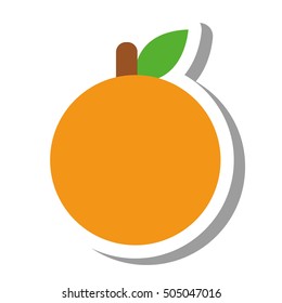 orange citrus fruit isolated icon vector illustration design