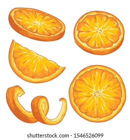 Orange citrus fruit isolated on white background. Hand drawn vector illustration. Orange peel and slice.