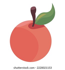 orange citrus fruit isometric icon