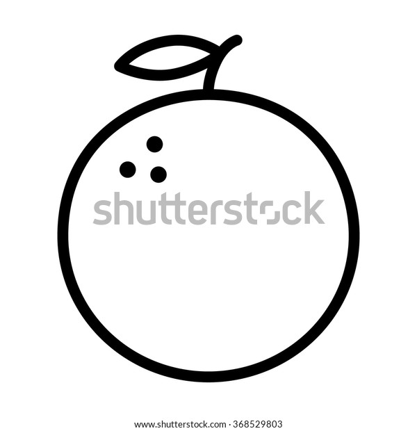 Orange Citrus Fruit Line Art Vector Stock Vector Royalty Free 368529803 3342