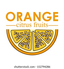 orange citrus fruit  over white background vector illustration 