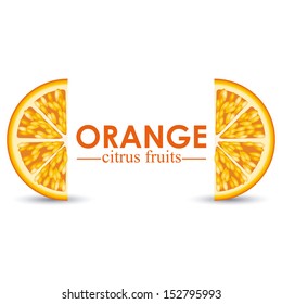 orange citrus fruit  over white background vector illustration 