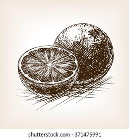 Orange citrus fruit sketch style  vector illustration. Old hand drawn engraving imitation. Fruit illustration