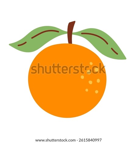 Orange citrus fruit vector illustration. Hand drawn colorful design element clip art in modern cute flat style. Organic vegan food drawing isolated on white background