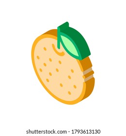 Orange Citrus Icon Vector. Isometric Orange Citrus sign. color isolated symbol illustration