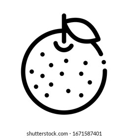 Vector de iconos de cítricos naranja. Signo de esquema de cítricos naranja. Ilustración de símbolo de contorno aislado