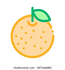 Orange Citrus Icon Vector. Outline Orange Citrus Sign. Isolated Contour Symbol Illustration