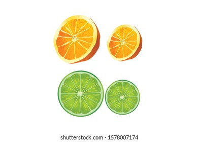 Orange, citrus lemon yellow and green in section, vector illustration on white background