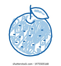 Orange Citrus sketch icon vector. Hand drawn blue doodle line art Orange Citrus sign. isolated symbol illustration