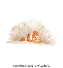 Orange clownfish with white stripes resting