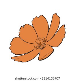 Orange color hand drawing floral flower vector illustration 