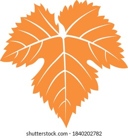 Orange Color Leaf With Beautiful White Lines.Vector Illustration.