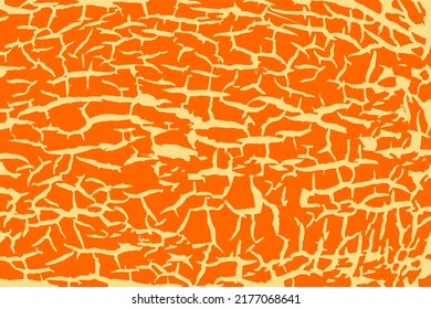 orange color and melon rind pattern