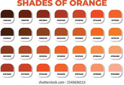 Orange color palette with RGB HEX color codes, Hex codes, Fashion trend orange color palette, Shades of orange, Swatches set, Orange color references
