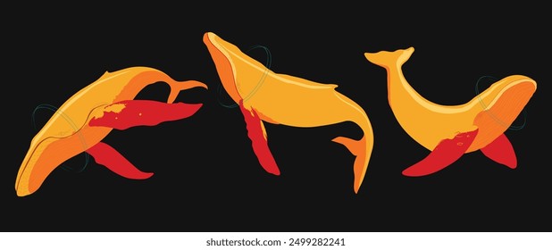 Orange color three oceans whales 