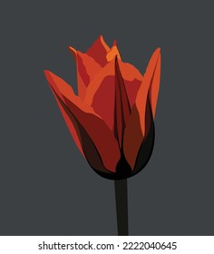 Orange Color Vector Drawing Concept