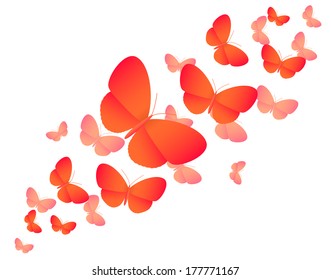 Orange colored butterflies on white - vector illustration