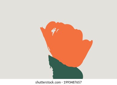 Orange colored tulip with green leafs.