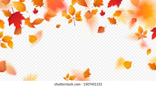 Orange colorful leaves flying falling effect. Autumn fall leaves background. Vector template for seasonal design.