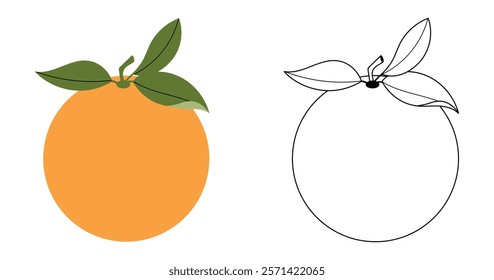 Orange, coloring page. Vector illustration of fruits for kids. Children's coloring book with a color example. Outline.