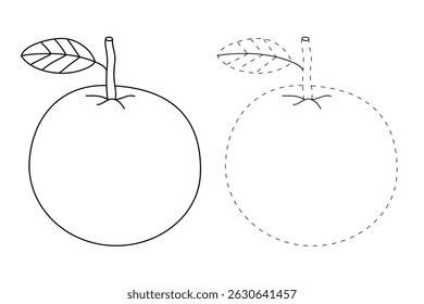 Orange coloring pages for kids. Trace and color Orange. Orange fruit flashcard for kids vector illustration. Letters O is for Orange. Fun fruit worksheets printable for kids activity.