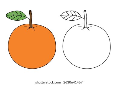 Orange coloring pages for kids. Trace and color Orange. Orange fruit flashcard for kids vector illustration. Letters O is for Orange. Fun fruit worksheets printable for kids activity.