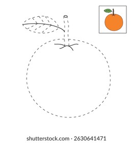 Orange coloring pages for kids. Trace and color Orange. Orange fruit flashcard for kids vector illustration. Letters O is for Orange. Fun fruit worksheets printable for kids activity.