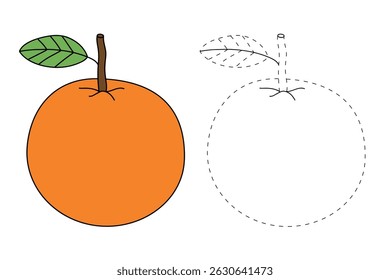 Orange coloring pages for kids. Trace and color Orange. Orange fruit flashcard for kids vector illustration. Letters O is for Orange. Fun fruit worksheets printable for kids activity.